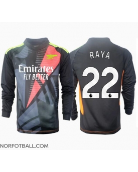Billige Fotballdrakt Arsenal David Raya #22 Keeper Replika Tredjedrakt 2024-25 Langermet